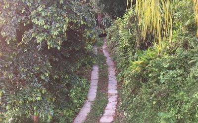 Journey to Nigeria Pt. 2